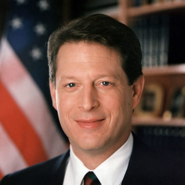 Al Gore portrait