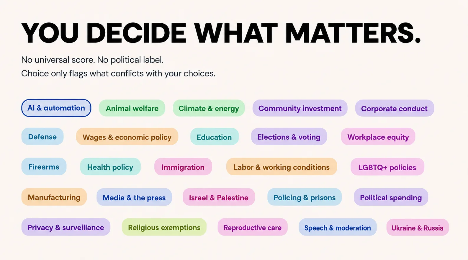 The issues a reader can choose from in Choice, from climate and energy to political spending, with no universal score